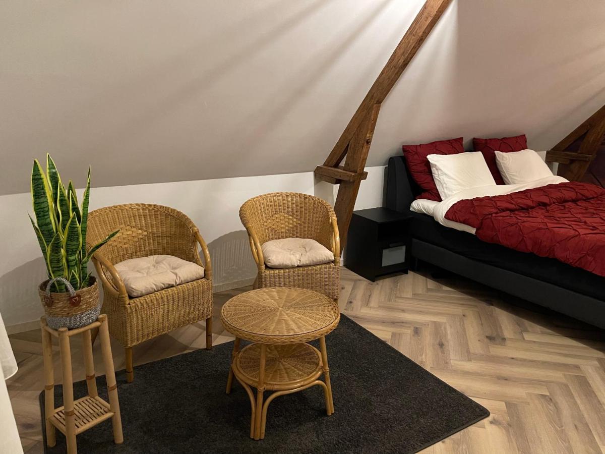 Bed & Wellness Chinel Luxe Vakantiehuis Met Sauna'S En Bubbelbad Apartman Sint Annaland Kültér fotó